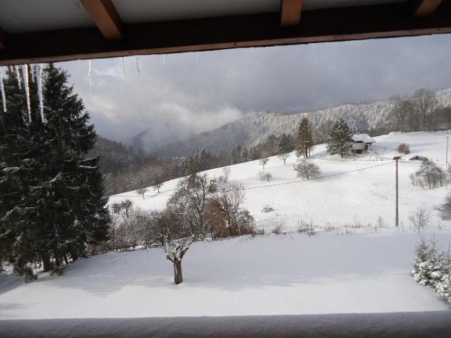 Chalet Contemporain Plein Nature Altenbach Esterno foto
